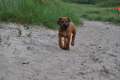 welpen 5.7.2013 030 [800x600]