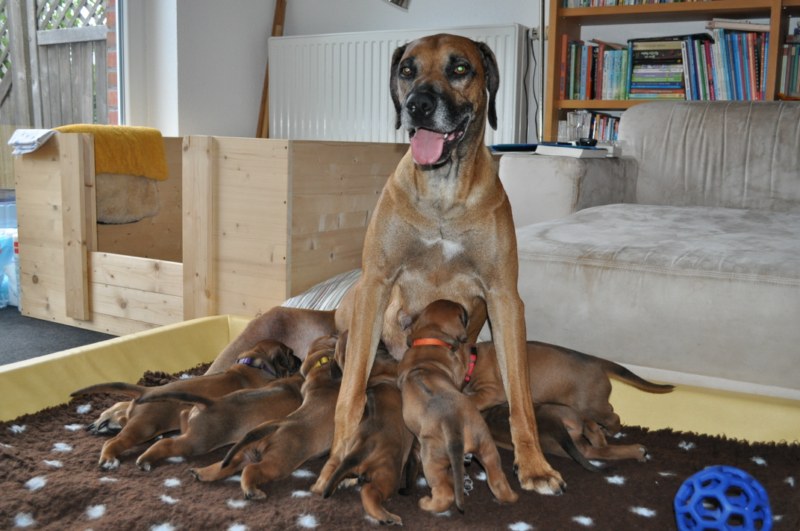 woche03-28