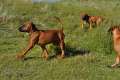 woche10 (11)