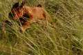 woche10 (13)