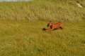 woche10 (18)