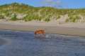 woche10 (27)