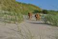 woche10 (34)