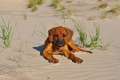 woche10 (35)