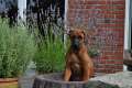 woche10 (42)