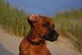 woche10 (63)