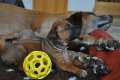 woche3 (31)