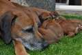 woche3 (4)