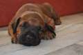 woche3 (63)