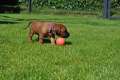 woche4 (10)