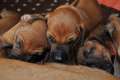 woche4 (20)