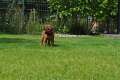 woche4 (27)