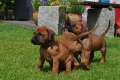 woche4 (28)