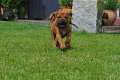 woche4 (30)
