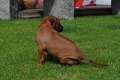 woche4 (31)