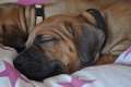 woche4 (38)