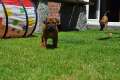 woche4 (43)