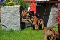 woche4 (45)