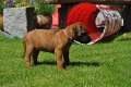 woche4 (47)
