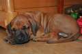 woche4 (51)