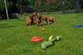 woche4 (53)