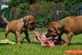 woche4 (56)