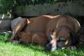 woche4 (59)