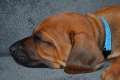 woche5 (14)