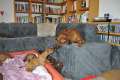 woche5 (16)