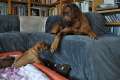 woche5 (18)