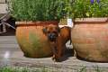 woche5 (51)