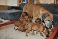 woche6 (1)