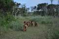 woche6 (21)