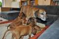 woche6 (4)
