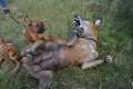 woche6 (41)