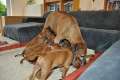 woche6 (5)