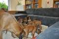 woche6 (6)
