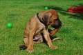 woche6 (7)