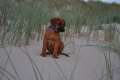 woche7 (14)