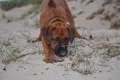 woche7 (3)