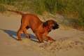 woche8 (1)