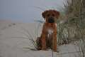 woche8 (13)
