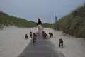 woche8 (19)