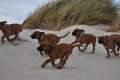 woche8 (40)