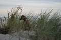 woche8 (43)
