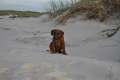 woche8 (45)