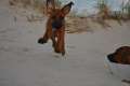woche8 (53)