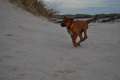 woche8 (58)