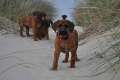 woche8 (6)