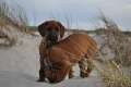 woche8 (60)